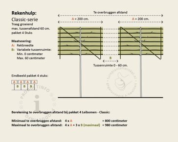 Parrotia persica leiboom - Rek 200x130 cm - pakket 4 stuks