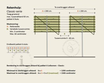 Rode leibeuk - Rek 200x130 cm - pakket 6 stuks