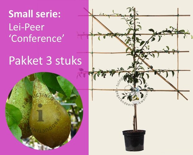 Leipeer - Rek 120x90 cm - pakket 3 stuks