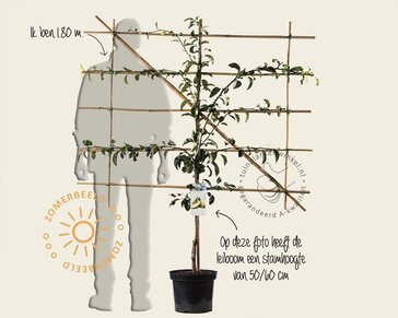 Leipeer - Rek 120x90 cm - pakket 6 stuks