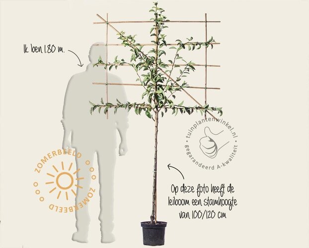 Leipeer - Rek 120x90 cm - pakket 6 stuks