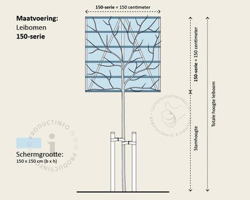 Steeneik leiboom - Rek 150x150 cm - pakket 4 stuks + EXTRAS!