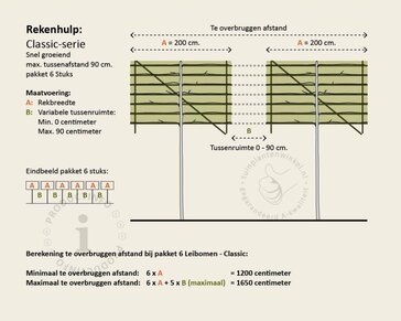Lei amberboom - Rek 200x130 cm - pakket 6 stuks