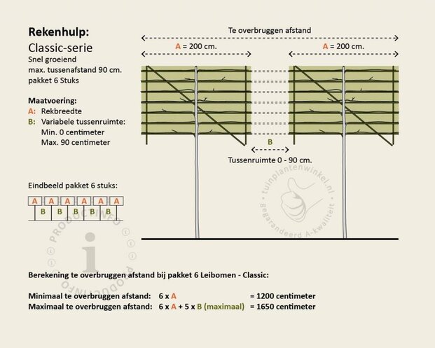 Lei amberboom - Rek 200x130 cm - pakket 6 stuks