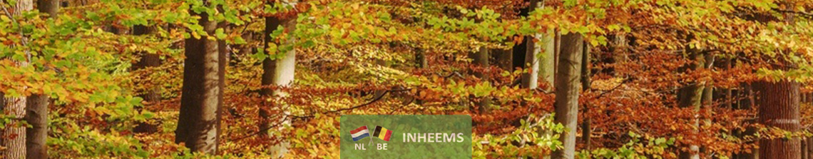 Inheemse bomen image