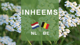 Inheemse planten image