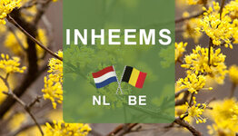 Inheemse struiken image