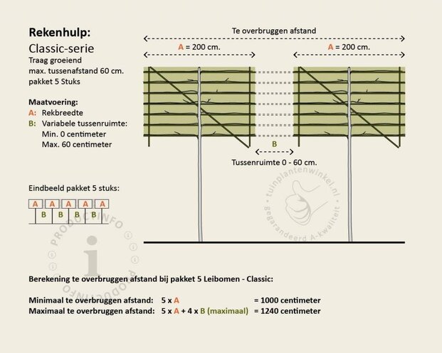 Groene leibeuk - Rek 200x130 cm - pakket 5 stuks