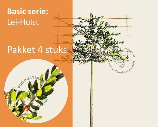 Leihulst - Rek 180x110 cm - pakket 4 stuks