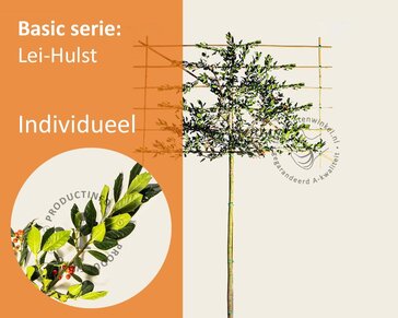 Leihulst - Rek 180x110 cm