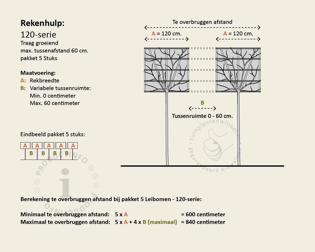 Kurkeik leiboom - Rek 120x120 cm - pakket 5 stuks