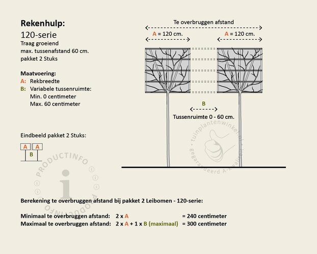 Kurkeik leiboom - Rek 120x120 cm - pakket 2 stuks