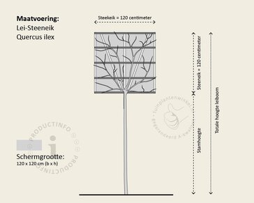 Leiconifeer - Rek 120x120 cm - pakket 4 stuks