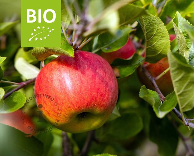 Malus domestica 'Topaz' - BIO halfstam