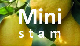 Mini citroenboom image