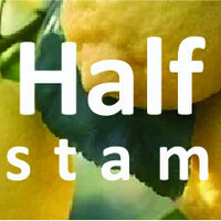 Citroenboom halfstam