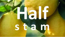 Citroenboom halfstam image