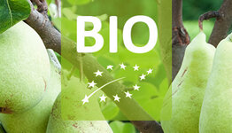 Bio perenboom image