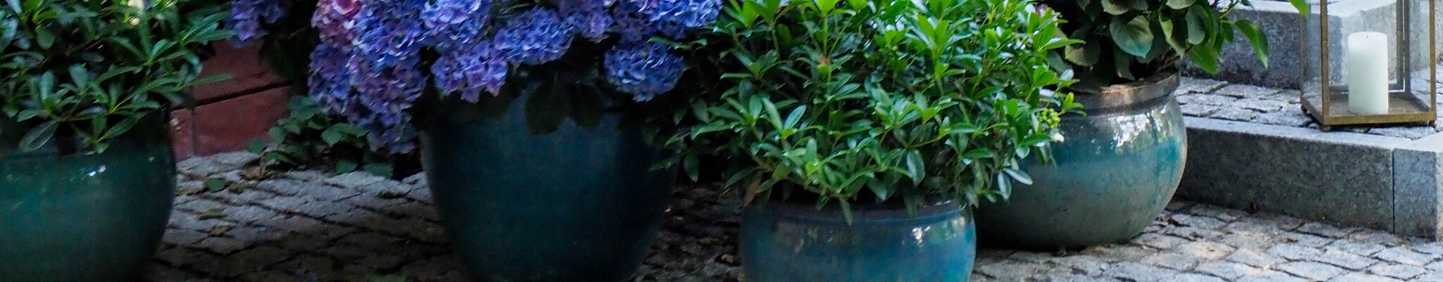 Bloempot buiten image