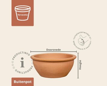 Bloempot Bologna 01 terra image
