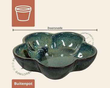 Shanghai birdbath 2 drip groen