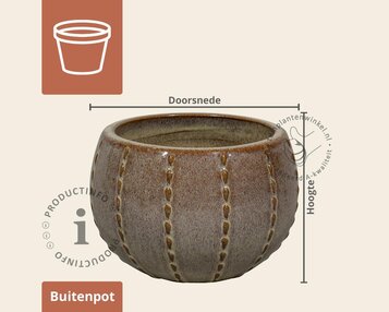 Bloempot Seoul 1-01 mokka bruin image