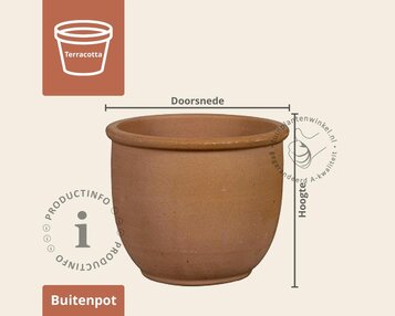 Bloempot Treviso 01 terra image