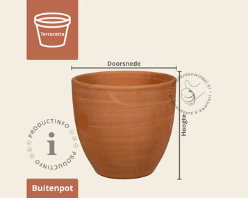 Bloempot Corsica 01 terra image