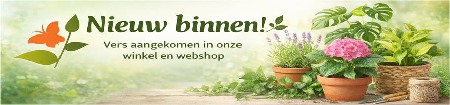 Nieuw in ons assortiment image