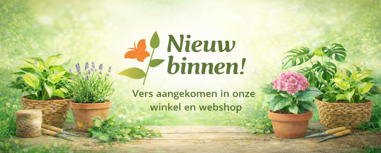 Nieuw in ons assortiment image