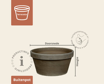 Bloempot KUL basalt image