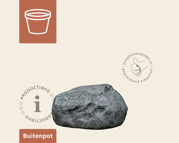 Rock 01 lichtgrijs image