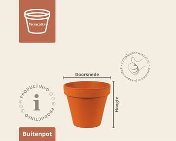 Bloempot BLT terracotta image