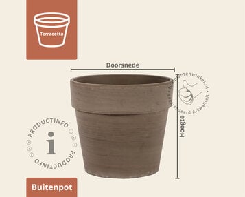 Bloempot Calima basalt image