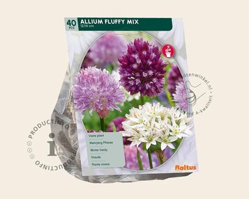 Allium Fluffy Mix image