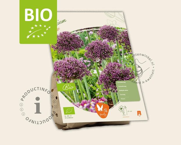 Allium 'Magic' - BIO