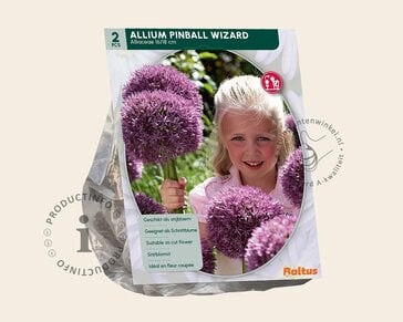 Allium 'Pinball Wizard'