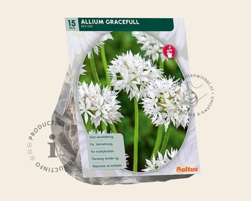 Allium 'Graceful Beauty'