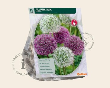 Allium Mix Paars-Wit