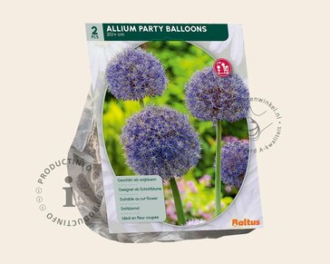 Allium 'Party Balloons'
