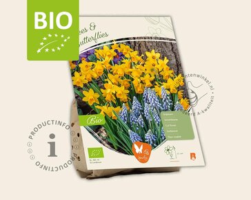 Bees & Butterflies Mix - BIO
