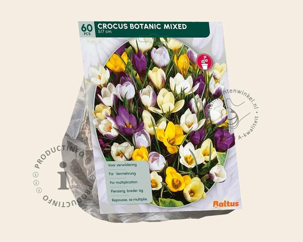 Crocus Botanisch Mix