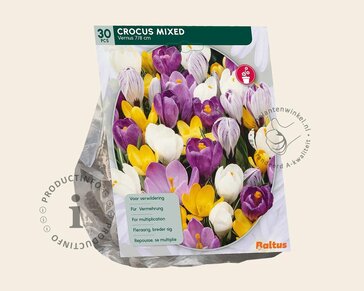 Crocus Grootbloemig Mix