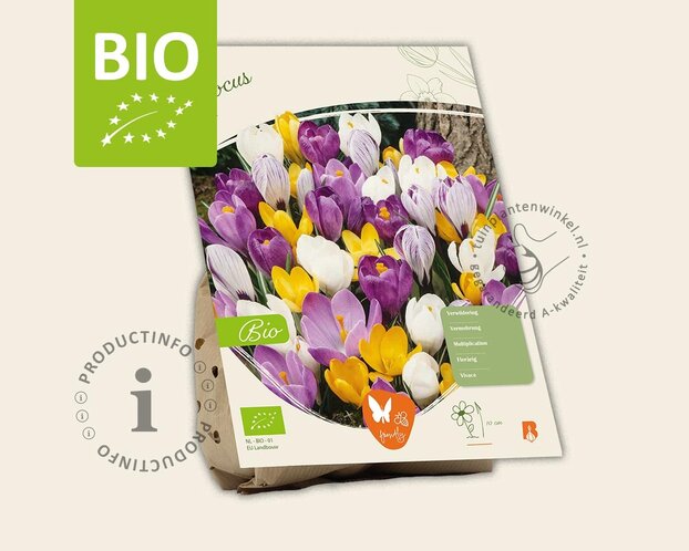 Crocus Mix - BIO