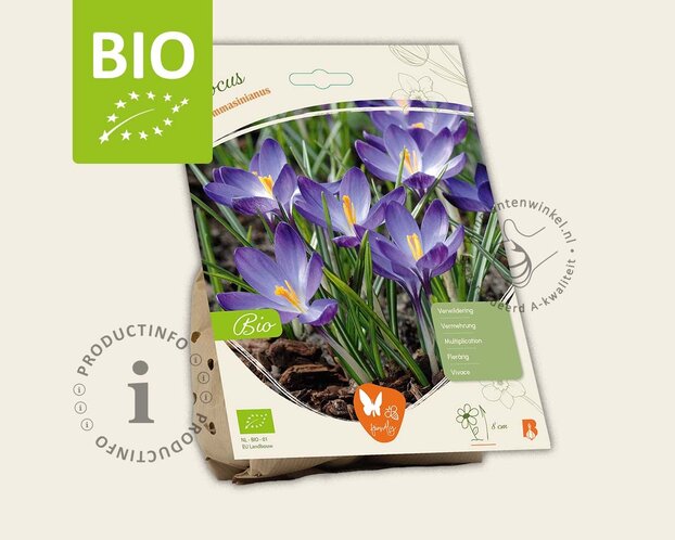 Crocus tommasinianus - BIO