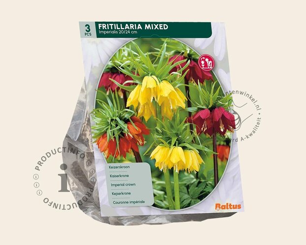 Fritillaria imperialis Mix