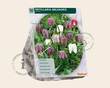 Fritillaria meleagris Mix