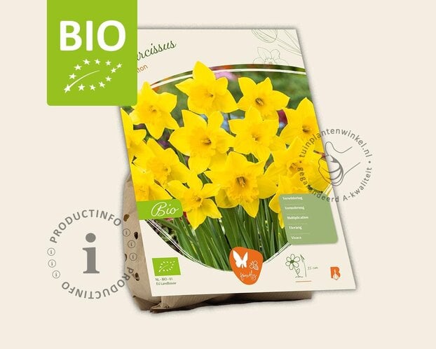 Narcissus 'Carlton' - BIO