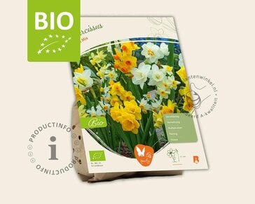 Narcissus Mini Mix - BIO