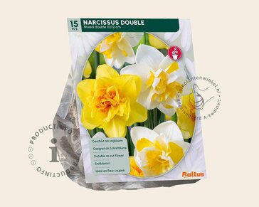 Narcissus Double Mix